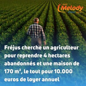 Fréjus cherche un agriculteur pour une parcelle