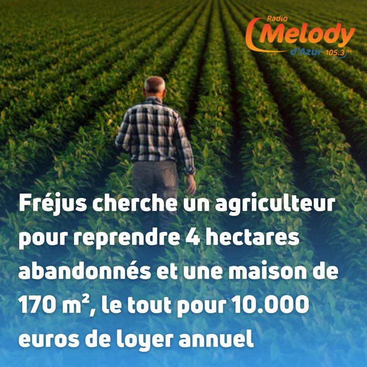 Fréjus cherche un agriculteur pour une parcelle